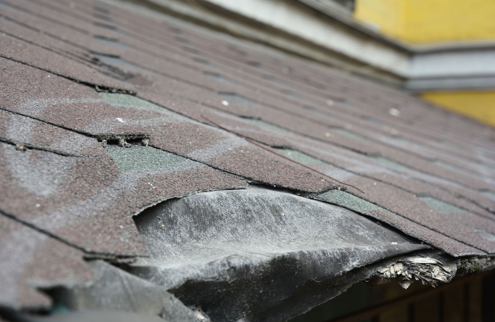 Silvio Roofing and Repair Images
