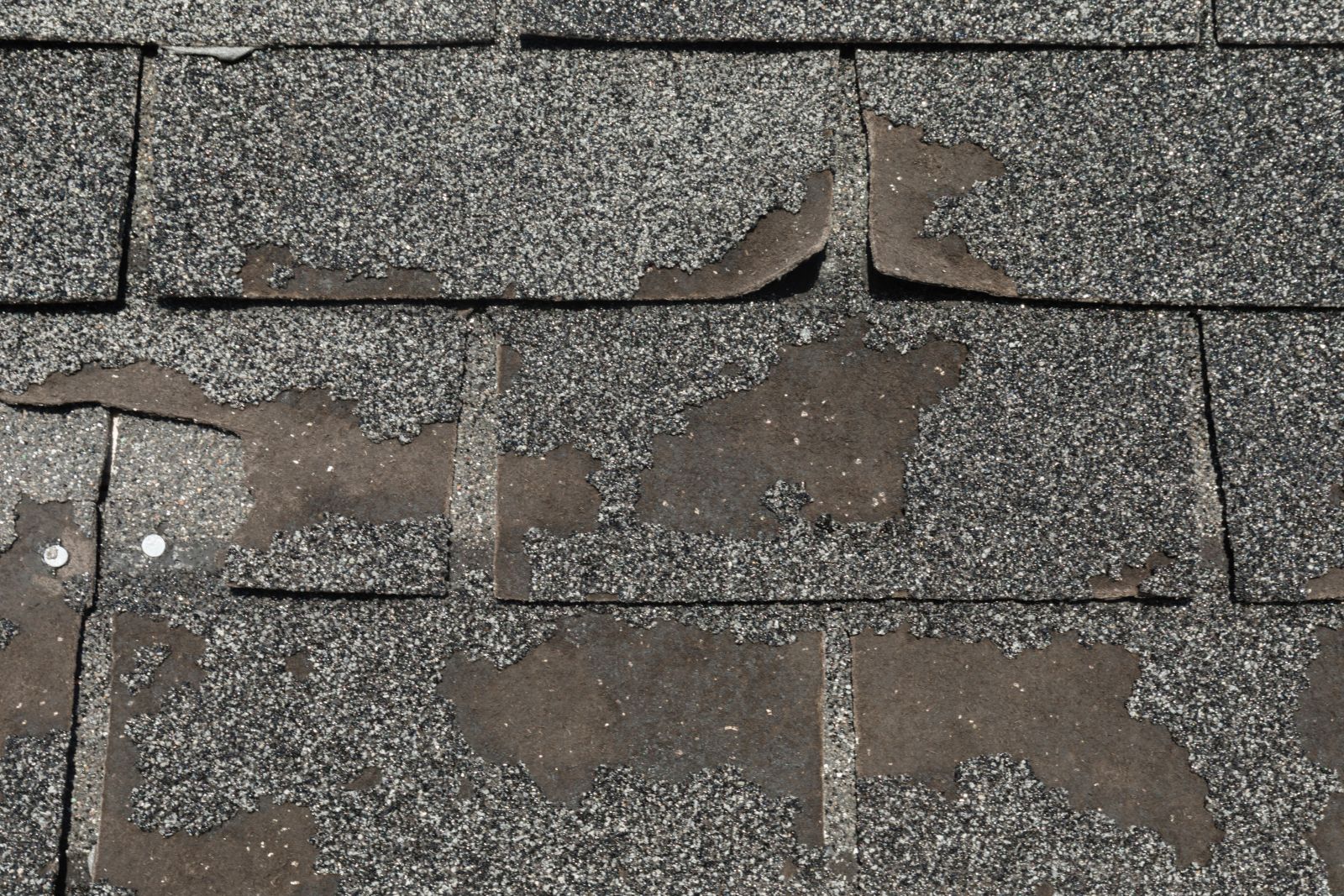 Silvio Roofing and Repair Images